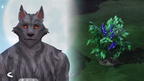 the sims 4 wolfsbane